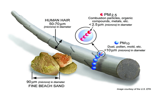 PM2.5