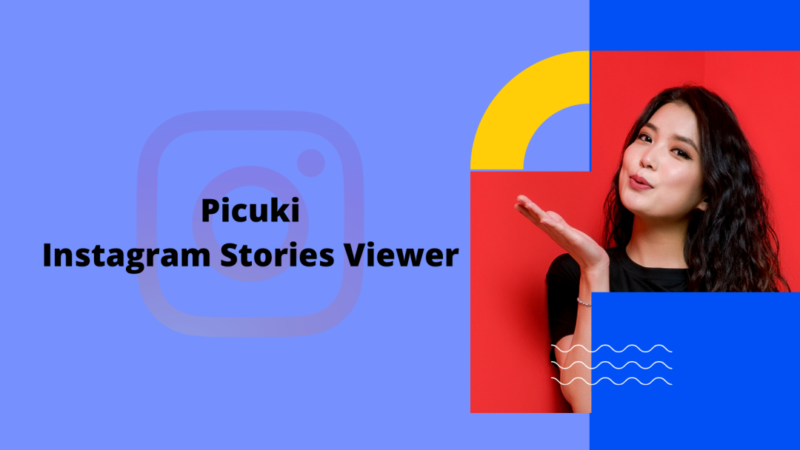 How Does Picuki Work and What Is It?