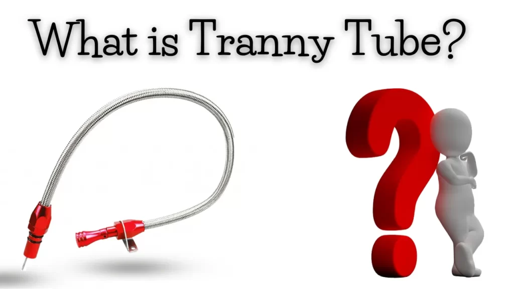 How Do Tranny Tubes Work? – How And Where Is It Useful?
