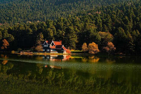 5 Star Resorts in Almora: Experience the Best of Luxury and Nature