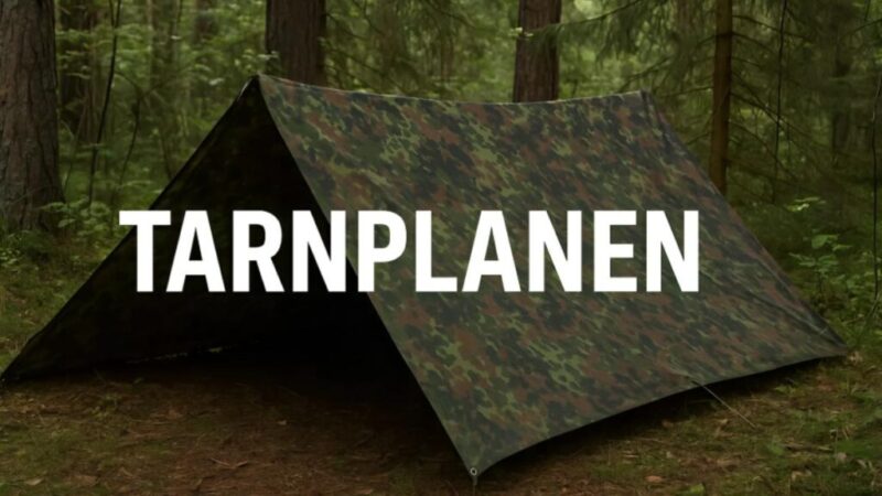 Tarnplanen Word Meaning, Usage & Language Insights | timebillions.com