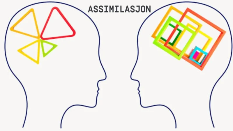 How to Use Assimilasjon in Language Learning | timebillions.com