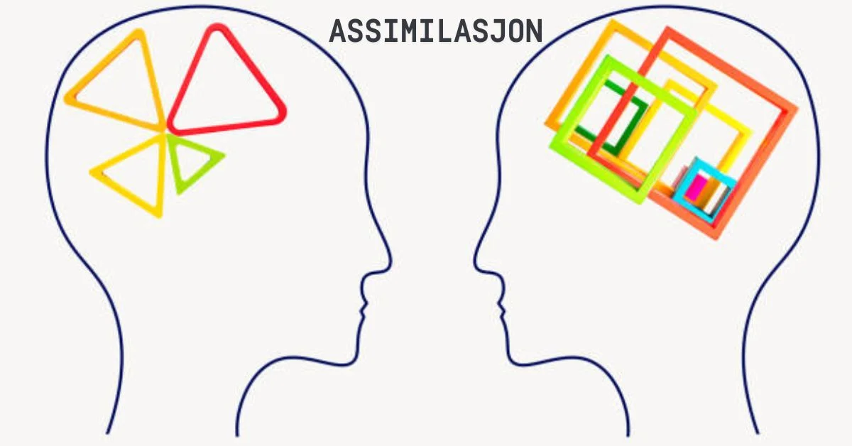 How to Use Assimilasjon in Language Learning | timebillions.com