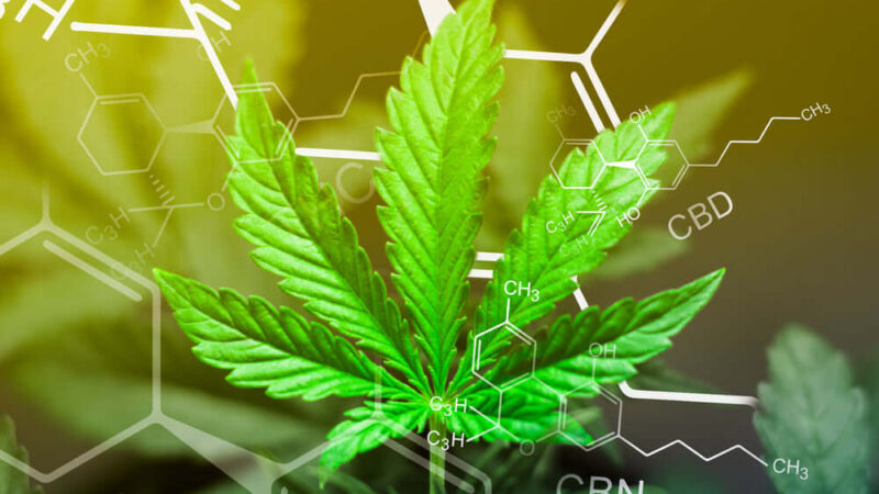 What is Free Flow Distillate in CBD? A Complete Guide