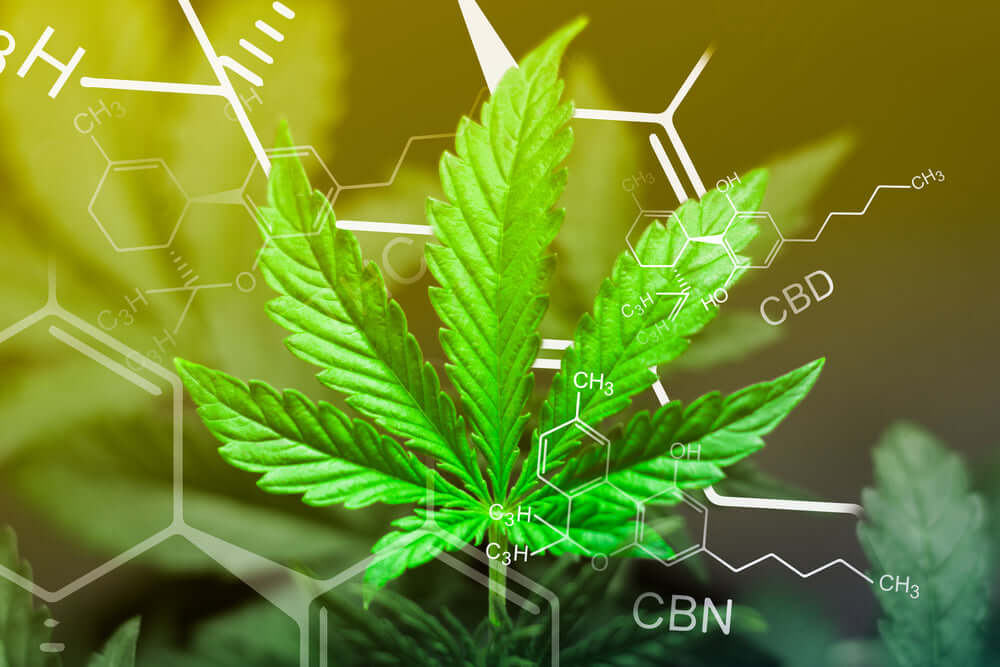 What is Free Flow Distillate in CBD? A Complete Guide